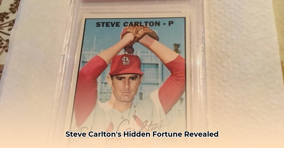 steve-carlton-net-worth